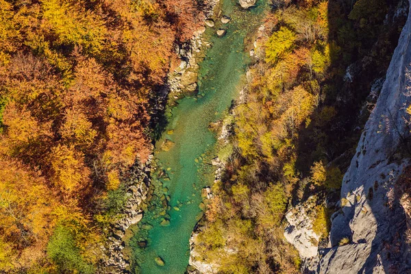 Río de montaña Tara y bosque en Montenegro. Viajar alrededor del concepto Montenegro — Foto de Stock