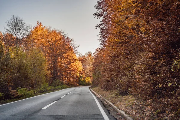 Bela vista de outono de árvores amarelas, estrada e montanhas, Montenegro — Fotografia de Stock