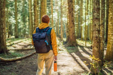 Sıcak elbiseli bir adam çam ormanında yürümekten zevk alıyor.
