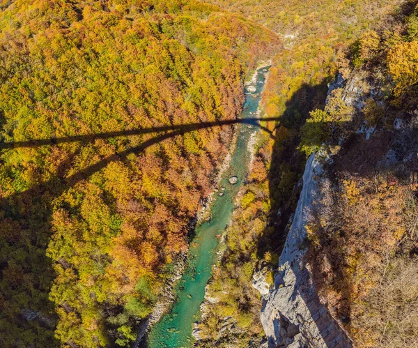 Montanha rio Tara e floresta em Montenegro. Viajar ao redor Montenegro conceito. Sombra da Ponte Dzhurdzhevich — Fotografia de Stock