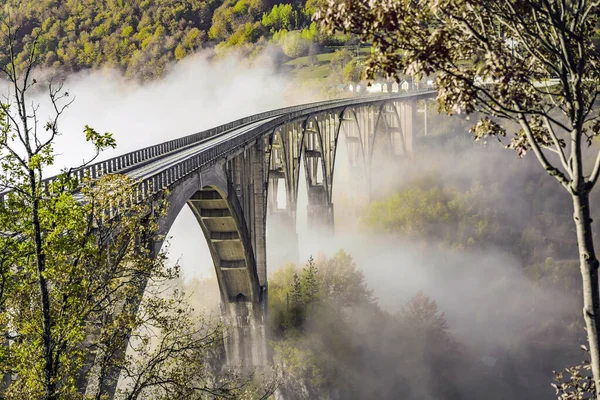 Montenegro. Dzhurdzhevich Bridge Over The River Tara foggy morning in Summer — Stock Photo, Image