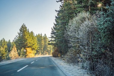 Sarı ağaçlar, yollar ve dağların güzel sonbahar manzarası, Karadağ