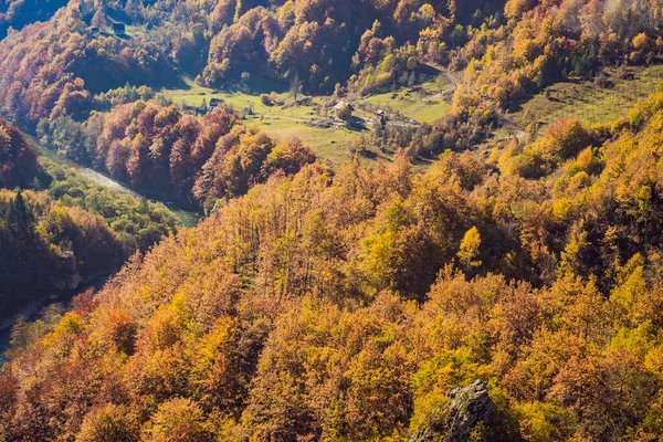 Beautiful autumn view of yellow trees, road and mountains, Montenegro — Stock fotografie