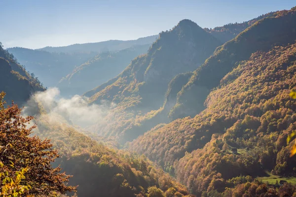 Vacker höst syn på gula träd, väg och berg, Montenegro — Stockfoto