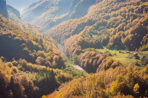 Mountain River Tara och skog i Montenegro. Resa runt Montenegro koncept — Stockfoto