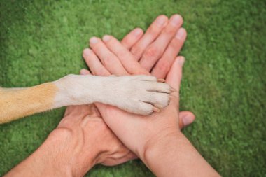 Takım olarak insan eli ve köpek pençesi. Hayvan hakları için savaş, hayvanlara yardım et..