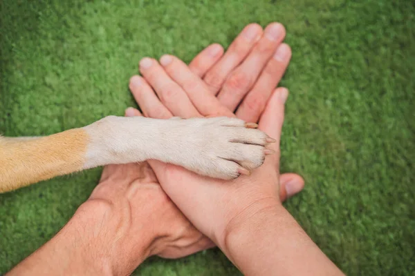 Human Hands Dog Paw Team Fight Animal Rights Help Animals — Fotografia de Stock