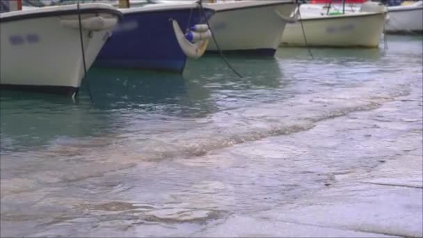 Kleine Bootjes Een Haven Een Stad Regenachtig Weer Het Water — Stockvideo