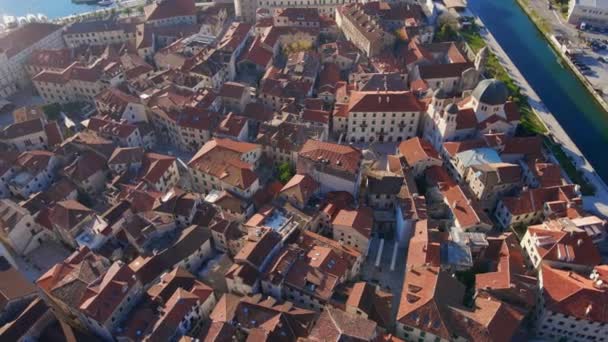Nagranie Lotnicze Starego Miasta Kotor Podróż Czarnogóry Koncepcja — Wideo stockowe