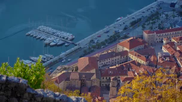 Dağdan Kotor Eski Kasabası Manzarası Karadağ Seyahat — Stok video