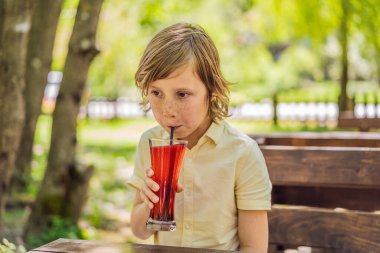 Sevimli küçük çocuk yaz aylarında sağlıklı meyve ve sebze suyu içiyor. Mutlu çocuk organik içecekten hoşlanıyor..