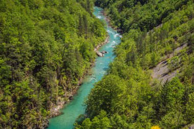 Nehir kıvrımı, Karadağ doğal manzarası, dağ nehri Tara.