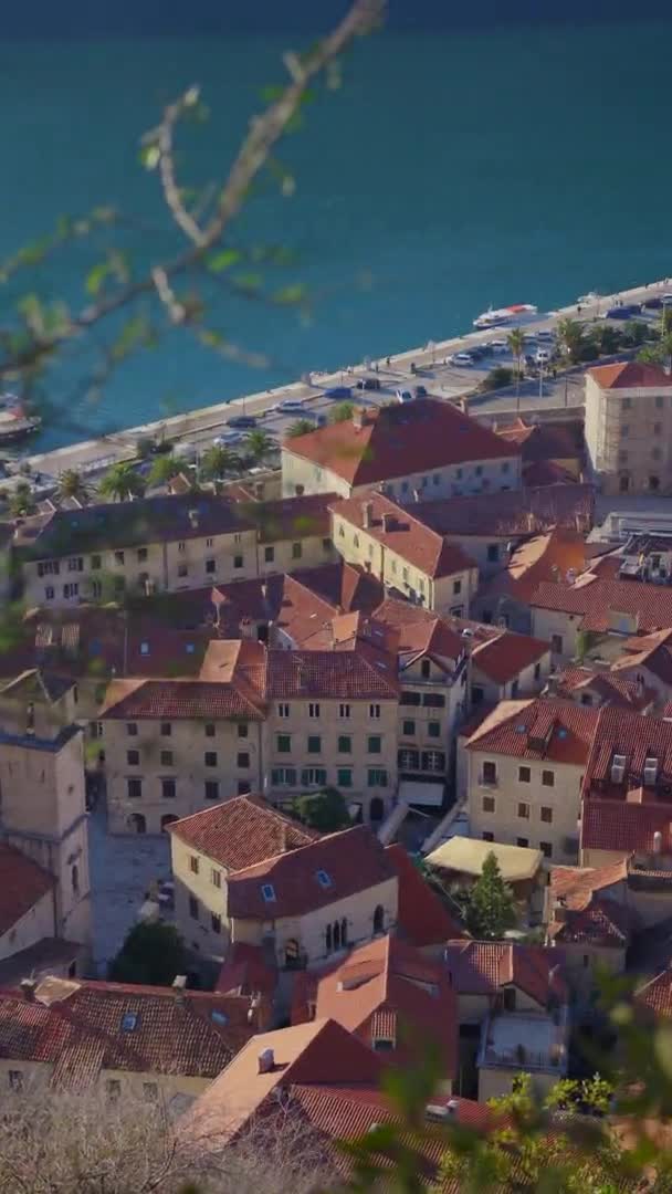 Vertical Video View Kotor Old Town Mountain Travel Montenegro Concept — Wideo stockowe
