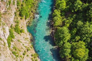 Karadağ doğası, dağ nehri Tara.