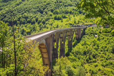 Karadağ. Tara Nehri Üzerindeki Dzhurdzhevich Köprüsü.