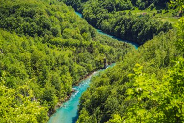 Montenegro natural landscape, mountain river Tara.