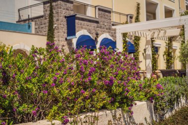 Karadağ 'ın Lustica Körfezi' nde mimarlık ve lüks yatlar. Karadağ 'da seyahat etmek. Her yere git..
