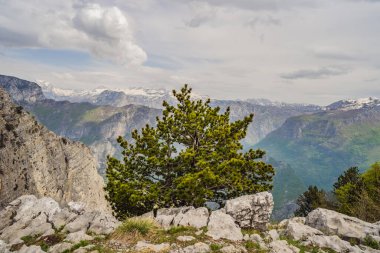 Karadağ 'daki Grlo Sokolovo vadisinin nefes kesici panoramik manzarası. Ön planda bir dağ var. Düz tarafı bir uçurum oluşturuyor. Tepe ağaçlarla kaplı..