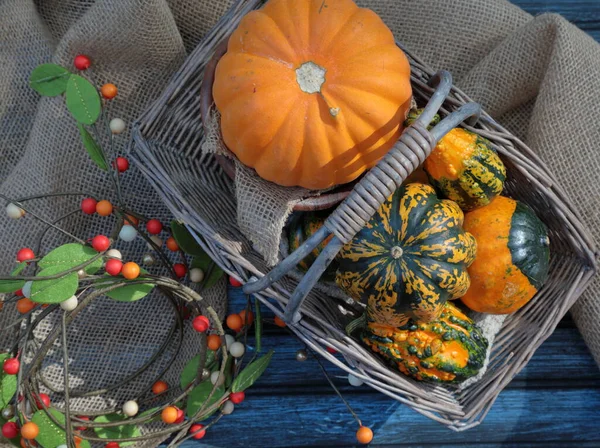 Basket Pumpkins Fall Season Fall Decoration — Stock Photo, Image