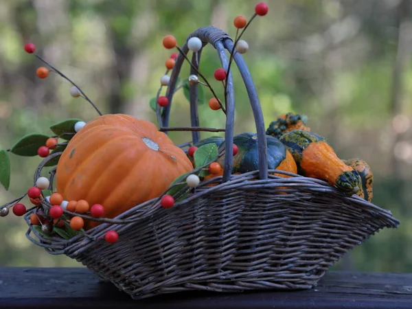 A basket of pumpkins in the fall season with fall decoration.