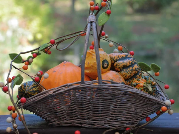Uma Cesta Abóboras Temporada Outono Com Decoração Outono — Fotografia de Stock
