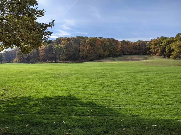 Fall Foliage City Park Yellow Orange Leaves — Stock Photo, Image