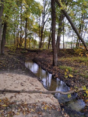Nehir kıyısında sarı yapraklı sonbaharın manzarası.