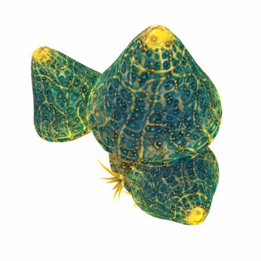 çizgi film sihirli fantezi güzel mantar, 3 boyutlu illüstrasyon,