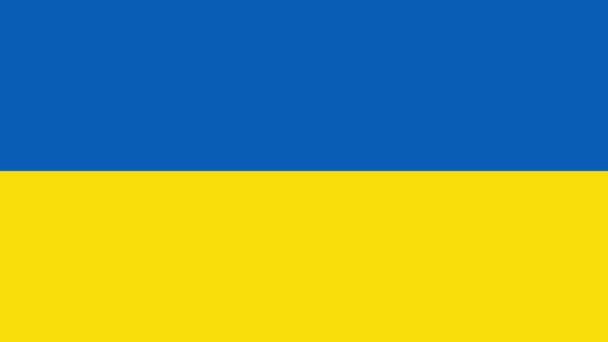 The Ukrainian flag and the Ukrainian military flag appear on a white background from the center in the form of a circle. video transition. signal of assistance to Ukraine during the war. — Stock Video