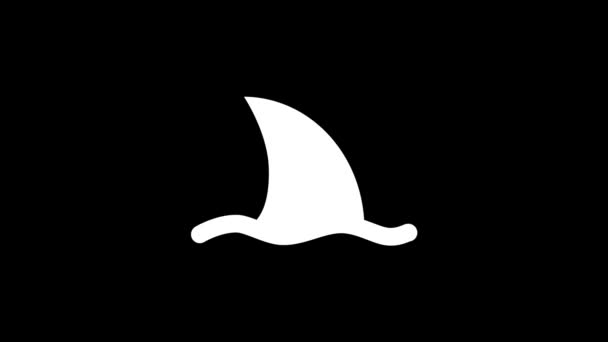 White picture of rough shark on a black background. — Stock Video