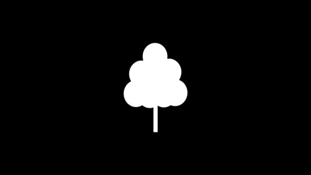 Bílý obrázek stromu na černém pozadí. — Stock video