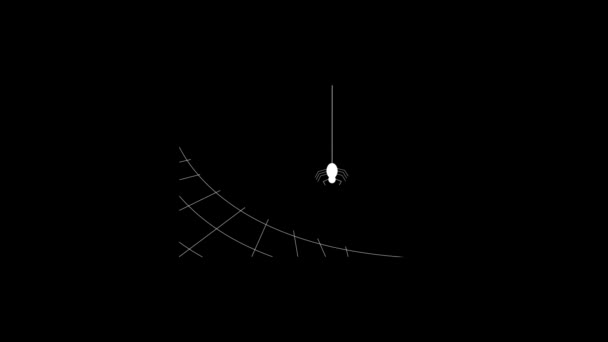 Gambar putih laba-laba dengan latar belakang hitam. — Stok Video