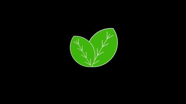 Imagen en color de hojas verdes sobre fondo negro. — Vídeo de stock
