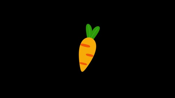 Imagen en color de la zanahoria sobre un fondo negro. — Vídeo de stock