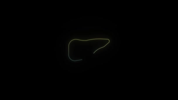 Icona luminosa del fegato al neon su sfondo nero. — Video Stock