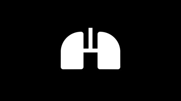 Fehér Kép Tüdőről Fekete Háttérrel Emberi Egészséges Tüdő Torzulás Folyékony — Stock videók