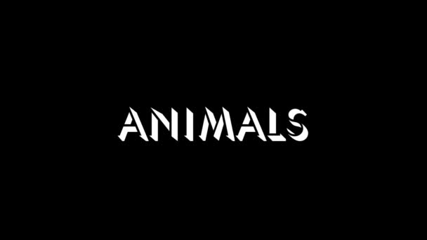 Λευκή Εικόνα Της Λέξης Animals Μαύρο Φόντο Άγρια Ζώα Στην — Αρχείο Βίντεο