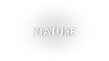 White nature icon with shadow isolated on white background. landscapes of nature. 4K video animation for motion graphics.