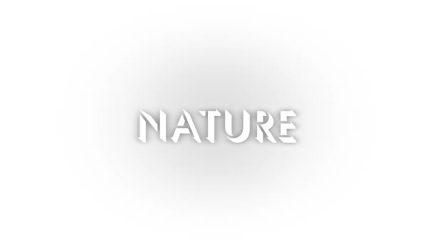 White Nature Icon Shadow Isolated White Background Landscapes Nature Video — Video