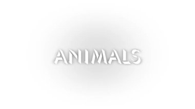 White animals icon with shadow isolated on white background. predators in the jungle. 4K video animation for motion graphics.
