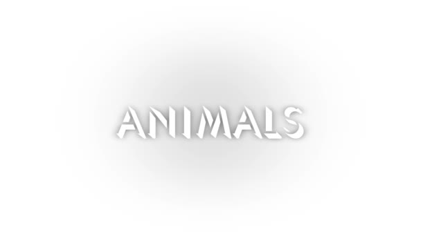 White Animals Icon Shadow Isolated White Background Predators Jungle Video — Video Stock