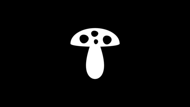 黑色背景上的蘑菇的白色图片 有毒蘑菇 配制有毒蘑菇 您的项目的动态风格镜头 4K视频动画 用于运动图形和合成 — 图库视频影像