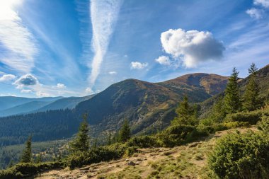 Hoverla Dağı 'na giden yol. Ukrayna 'daki Karpatlar.