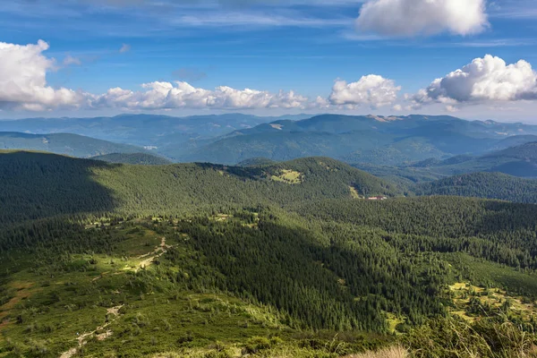 Trail Mount Hoverla Carpathian Mountains Ukraine — Fotografia de Stock
