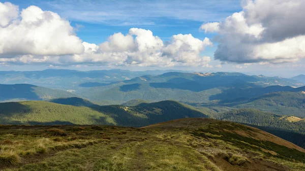 Camino Monte Hoverla Montañas Cárpatos Ucrania —  Fotos de Stock