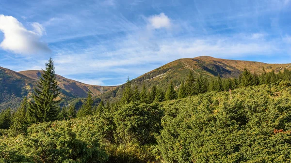 Hoverla Dağı 'na giden yol. Ukrayna 'daki Karpatlar.