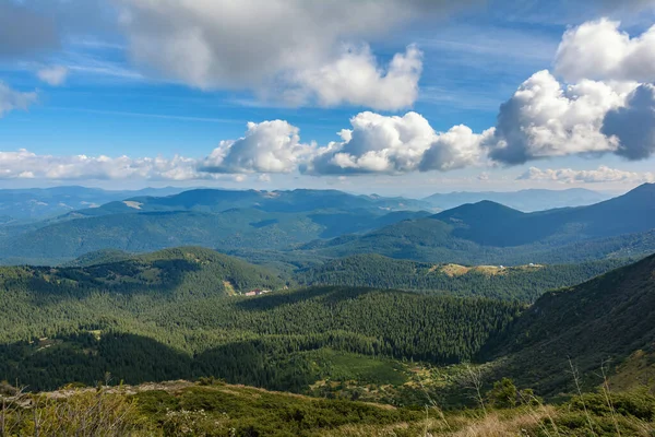 Camino Monte Hoverla Montañas Cárpatos Ucrania —  Fotos de Stock