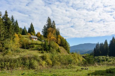 Dağ manzarası, sonbahar güneşli günü. Carpathian Dağları, Synevyrska Poliana, Zakarpattia Oblastı, Ukrayna.