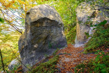 Rozhirche 'deki Mağara Manastırı yakınlarındaki Kayalar, Lviv Oblastı, Ukrayna. Ormandaki antik kayalık tapınak, Karpat dağları..