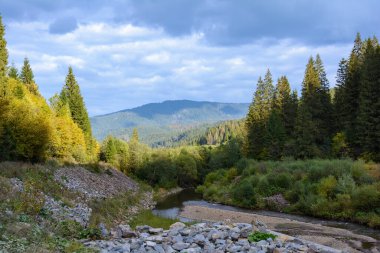 Dağ manzarası, sonbahar güneşli günü. Carpathian Dağları, Synevyrska Poliana, Zakarpattia Oblastı, Ukrayna.